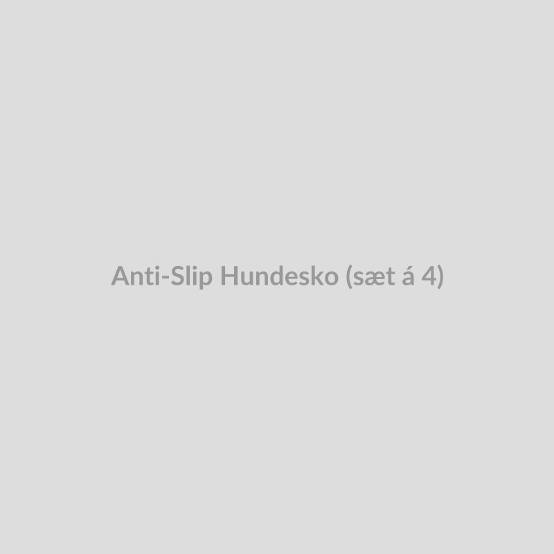 Anti Slip Hundesko (Saet A 4)