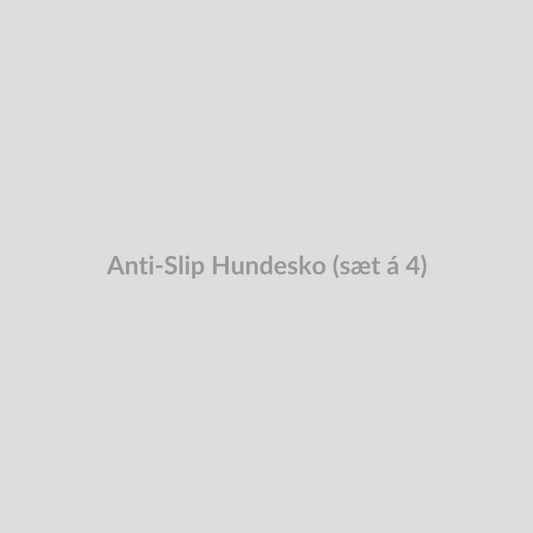 Anti Slip Hundesko (Saet A 4)