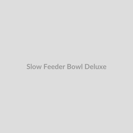 Slow Feeder Bowl Deluxe