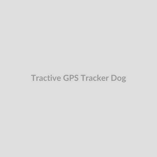 Tractive Gps Tracker Dog